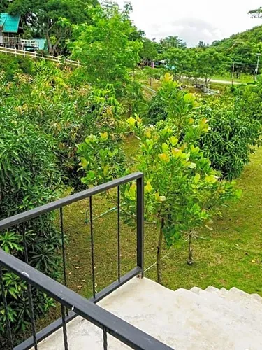 รูปภาพของDandelion Resort แดนดิไลออน รีสอร์ท