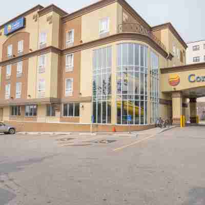 Comfort Inn & Suites University Hotel Exterior