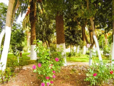 Hotel les Zianides Hotels in Tlemcen
