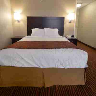 Best Western Executive Hotel of New Haven-West Haven Rooms