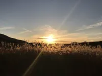 Soni Kodama Resort Tawa Hotels in Soni