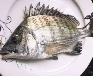 Fuding Yaoxin Homestay