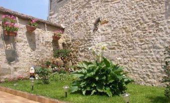 a garden with a variety of plants and flowers , including a large white flower in the foreground at Le 5