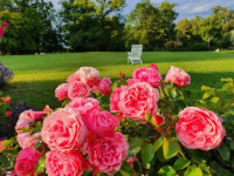 薩託有花園的公寓