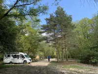 Nuthatch Cabin at Cloudshill Glade
