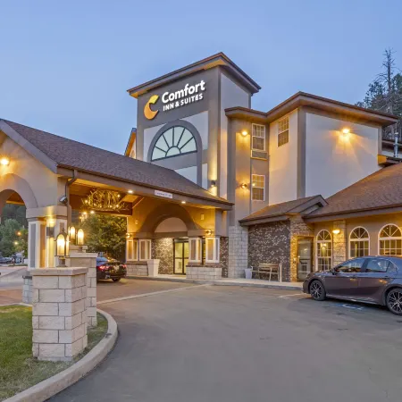 Comfort Inn & Suites Mt Rushmore