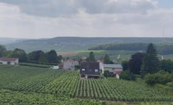 Charming House in the Heart of Champagne Vineyards