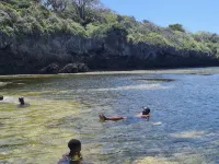 Cove House House 60 m2 Creekside Indian Ocean Hotels in Shimoni