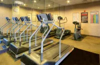 Steigenberger Hotel München - Gym
