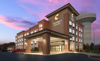 Comfort Suites Columbus East Broad