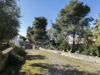 Lu Mare