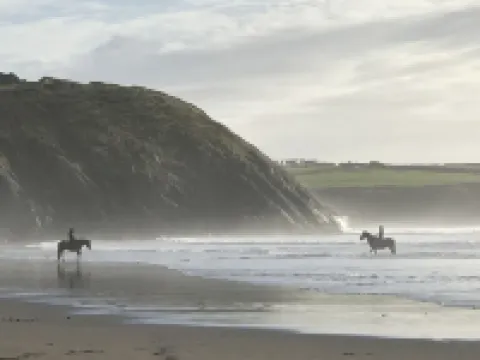 Swn y Môr - 1 Bedroom Cottage - Whitesands 酒店