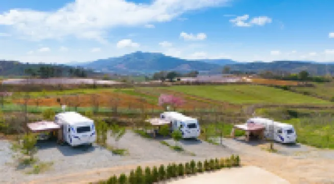 Yesan Farm & Tour