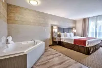 Comfort Inn & Suites South