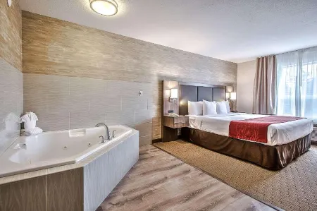 Comfort Inn & Suites South