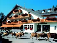 Hotel Sonne Hotel di Alt Sankt Johann