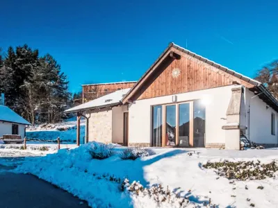 Residence Lipno Lipenská víla (The Little Mermaid)附近的飯店