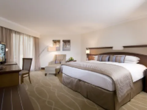 ダーナ アル アイン リゾート アル・アインのホテル