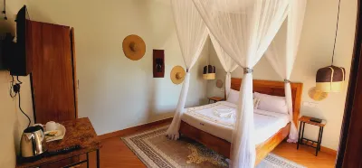 Njojo Guest House Hotels in 