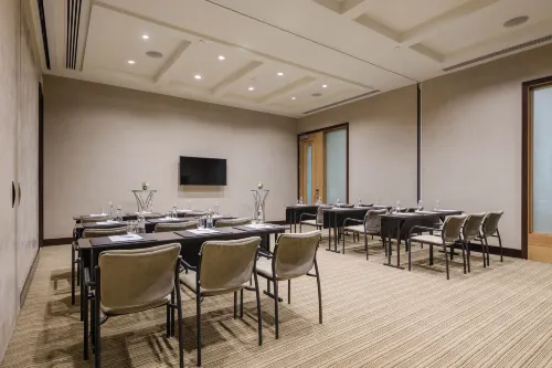 فندق سانت ريجيس القاهرة مرافق الأعمال Photos