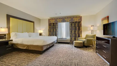 Holiday Inn Express & Suites Gonzales