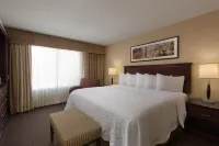 Embassy Suites by Hilton Lubbock Hotels in Lubbock