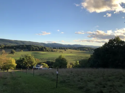 Primitive Tent Site #2