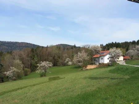 Traumhaftes neu Renoviertes Apartment mit Herrlichem Ausblick & top Ausstattung