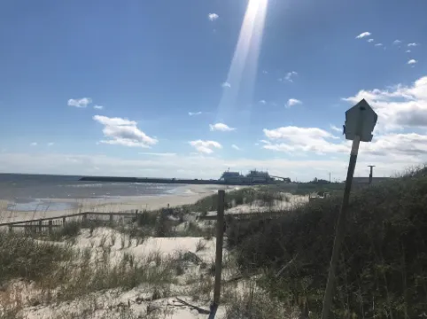 Natural High-Amazing Beach Getaway-Privacy, Easy Access, Kayaking, Boating