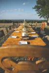 4 Br w/ Pool, Views, Farm & Ranch Stay- Flower Farm, Goats, Pigs, Disc Golf!