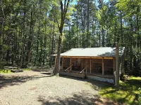 Pine Twist Cabin