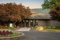 Cozy & Colorful Cabin at The Woods Resort (pet friendly Hoteles en Condado de Berkeley