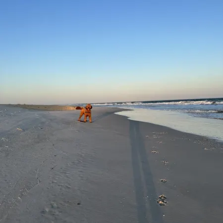 The Scooby Shack-A fully remodeled home with private neighborhood beach access!
