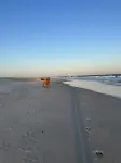 The Scooby Shack-A fully remodeled home with private neighborhood beach access!