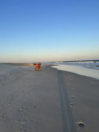 The Scooby Shack-A fully remodeled home with private neighborhood beach access!