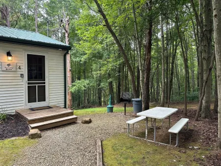 Trophy Buck sleeps 6, or rent all 4 for 20. Horseback riding across the Rd!