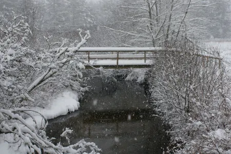RELAXING MOUNTAIN GET-A-WAY IN HIGHLANDS, NC.  GOOD FOR ALL SEASONS! Отели рядом с достопримечательностью «Трейлхед фор Йеллоу Маунтин Трейл»
