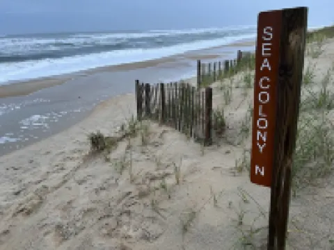 Enjoy a getaway to remember at Dune't Worry, Beach Happy! 杜克酒店