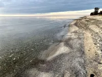 Beachfront Historical home 1Br/1Ba apt on Lake Erie w/ Balcony, WiFi, Streaming - Beach