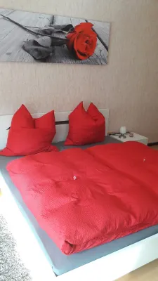 Keller`s apartment located directly on the National Park Kellerwald