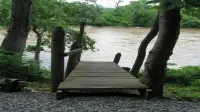 Siesta River Cabin,  Riverfront, fabulous views G.W. Forest, hottub, fireplace