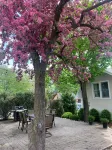 Luxury Home in the Heart of Leelanau Wine Country, Block from the Beach!