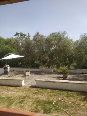 Olea House located in the countryside and close to everything you want.