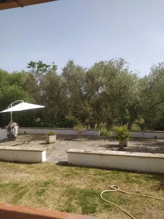 Olea House located in the countryside and close to everything you want.