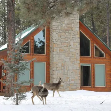 Angel Fire Retreat Cabin