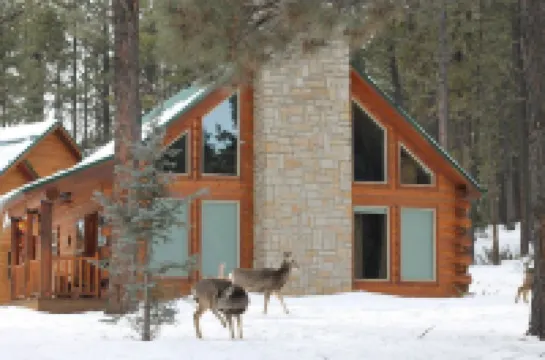 Angel Fire Retreat Cabin