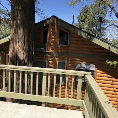 Peaceful Cozy Cabin Amongst the Trees with View of Lake Arrowhead