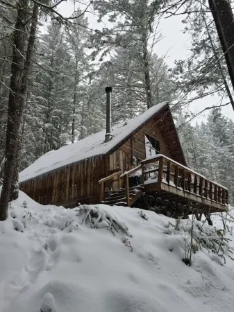 Charming A-Frame @ Mt. Rainier~Nature~Relax! Pet Friendly! Отели рядом с достопримечательностью «La Wis Wis Campground»