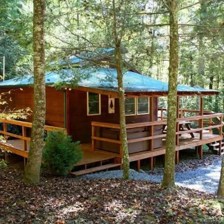 Wolfcreek Cabin/Secluded & Romantic/Hot Tub/Acreage Bordering National Forest