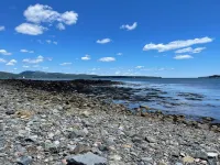“Low Tide” cozy studio for two! Hotels in Tremont